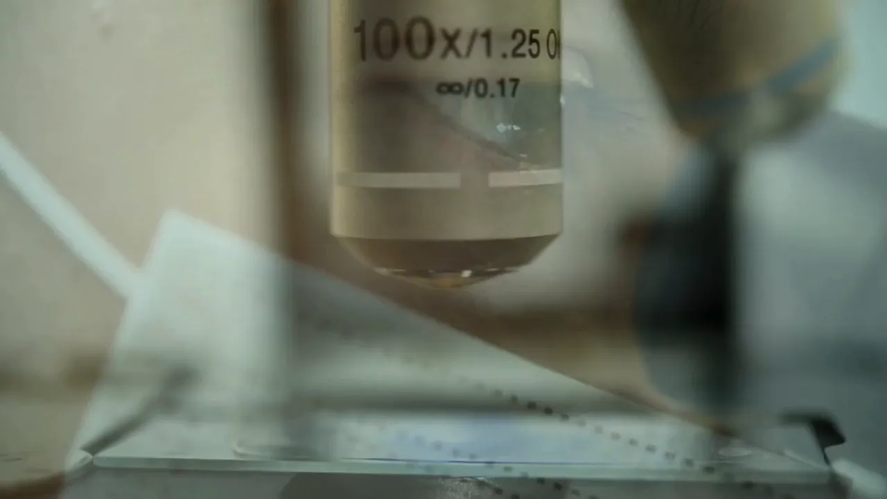 Objetivo de microscopio de 100 aumentos sobre una lámina